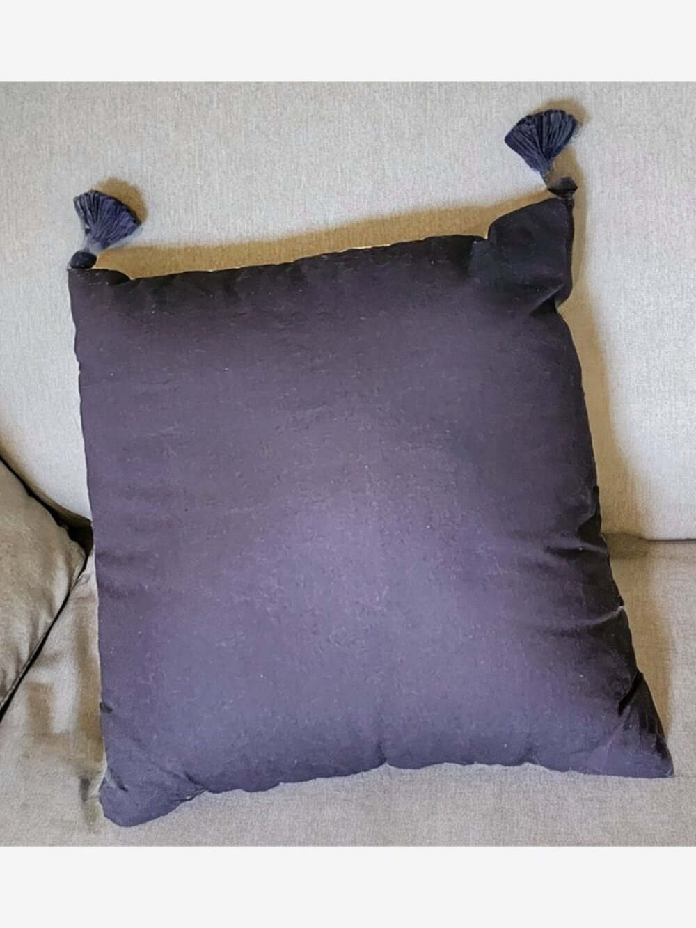 Embroidered Tassel Raven Throw Pillow - Picture 4 of 9